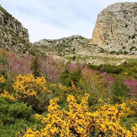 Alexander Mountain 3*